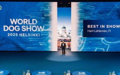 How Capital AV managed a 3600 kG LED reveal at the World Dog Show with CyberMotion Technology